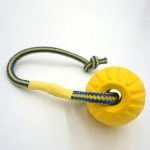 2 x Swing & Fling Balls