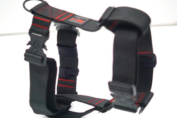 Harness with Cobra Clips