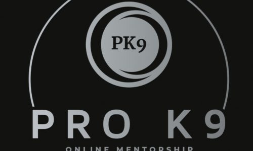 NeMo Mentorship Programme