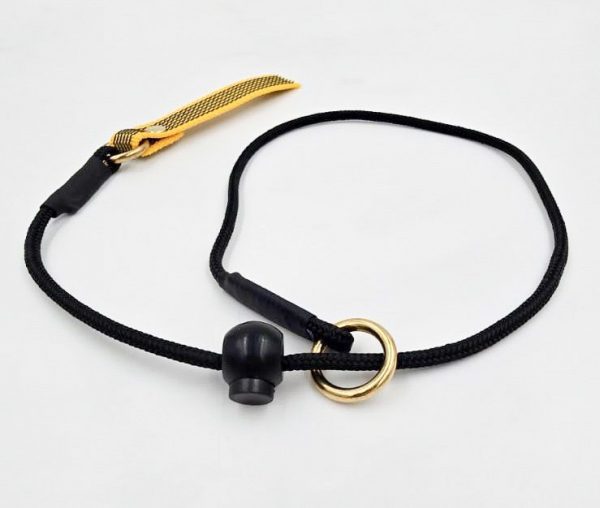 4mm Training Collar - Image 5