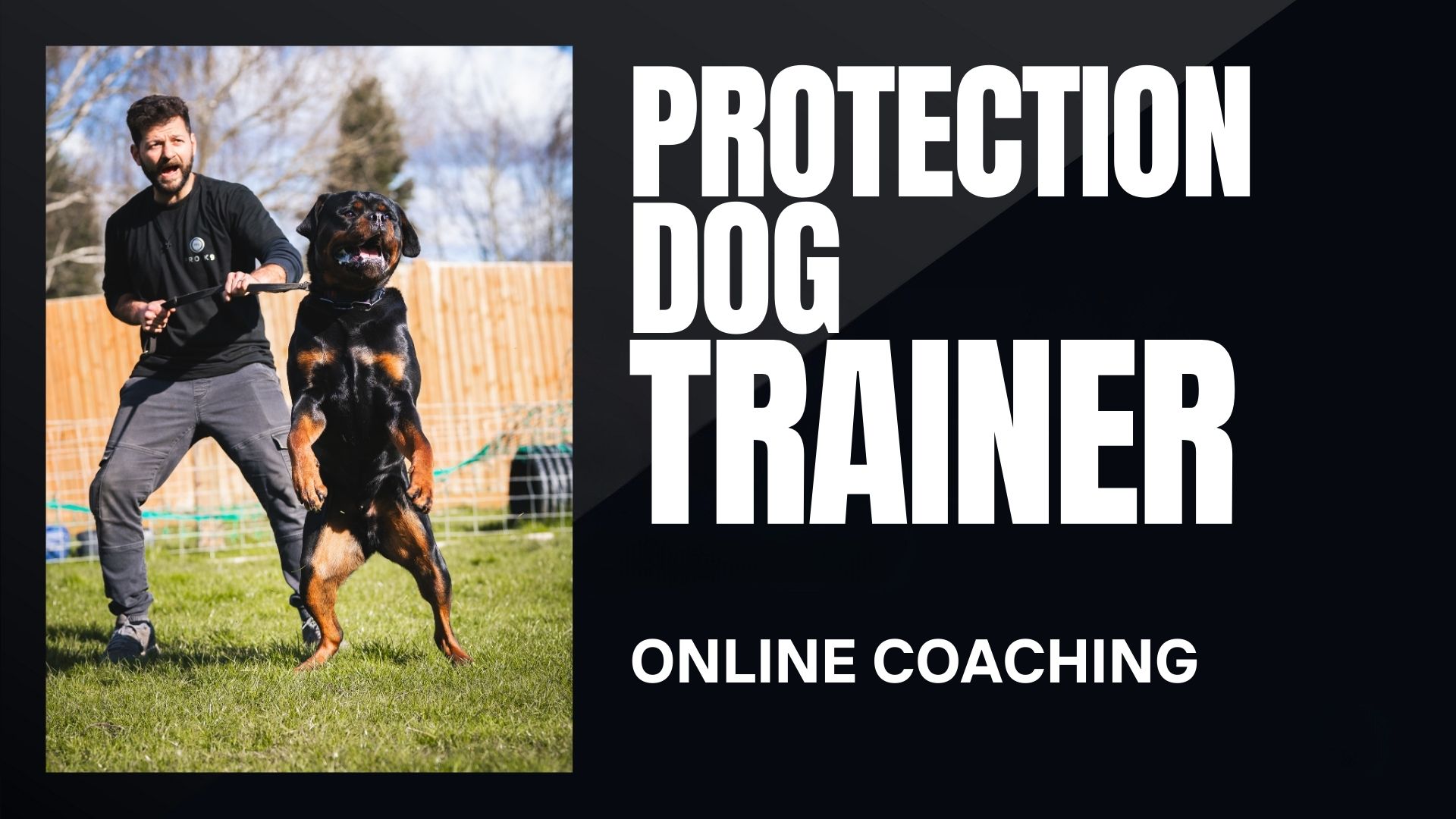 Protection Dog Trainer