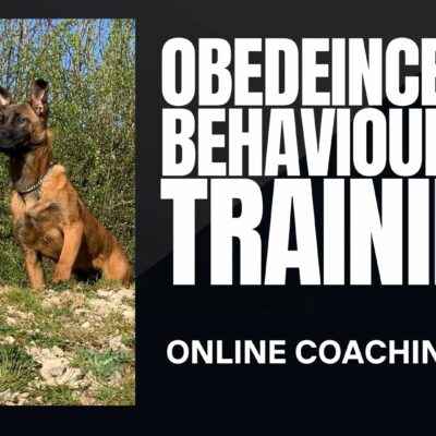 Dog Obedience & Behaviour Training