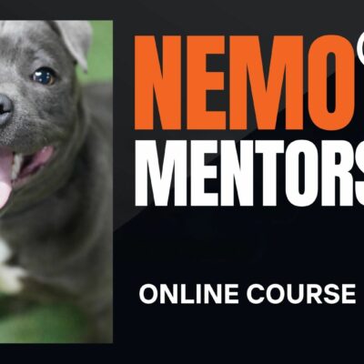 NeMo Mentorship - 1st March 2026